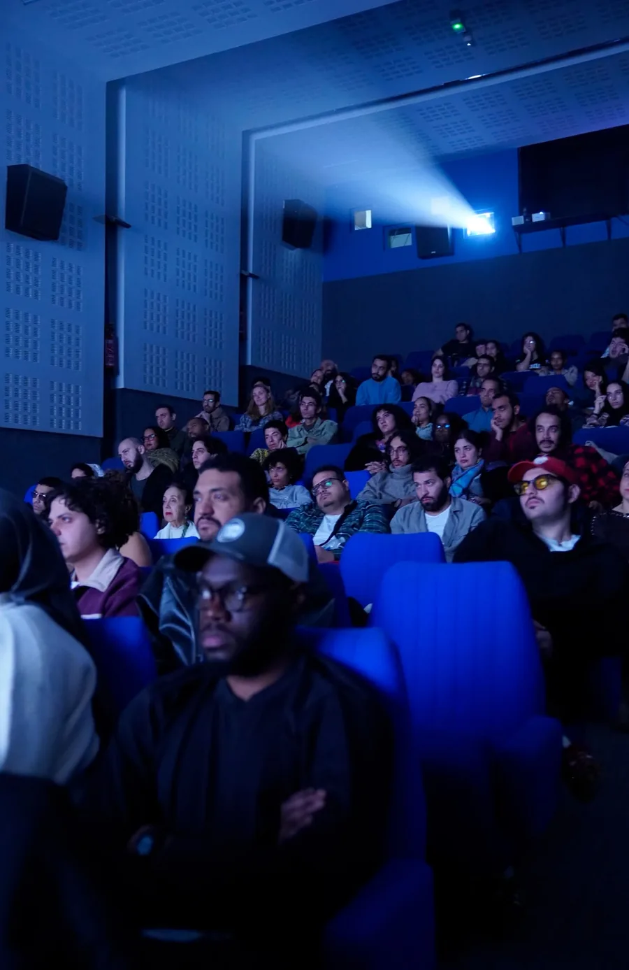 Le public d’une salle de cinéma, plongé dans la lumière bleue d’une projection.